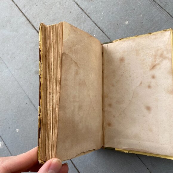 Mary Howitt, The Spider & the Fly, Antique Book, Sketches of Natural History - Picture 8 of 9